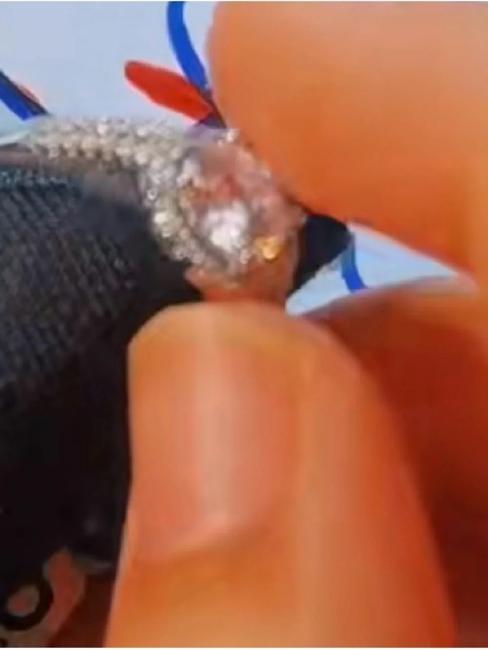 Ring